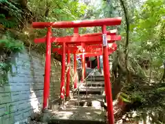 北山稲荷普済寺の鳥居