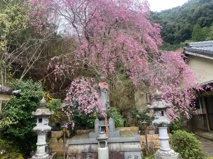 慈雲寺の{uncategorized: "未分類", other: "その他", undefined: "問題あり", building: "その他建物", grave: "お墓", sacred_gate: "鳥居", guardian: "狛犬", statue: "像", buddha: "仏像", history: "歴史", nature: "自然", garden: "庭園", animal: "動物", pagoda: "塔", temizu: "手水舎", mountain_gate: "山門・神門", sanctuary: "本殿・本堂", subordinate: "末社・摂社", art: "芸術", scenery: "景色", jizo: "地蔵", ema: "絵馬", goshuin: "御朱印", omikuji: "おみくじ", items: "授与品その他", amulet: "お守り", goshuincho: "御朱印帳", eats: "食事", festival: "お祭り", votive_dance: "神楽", shichigosan: "七五三参", wedding: "結婚式", experience: "体験その他", initially: "初詣", around: "周辺", anti_infection: "感染症対策"}