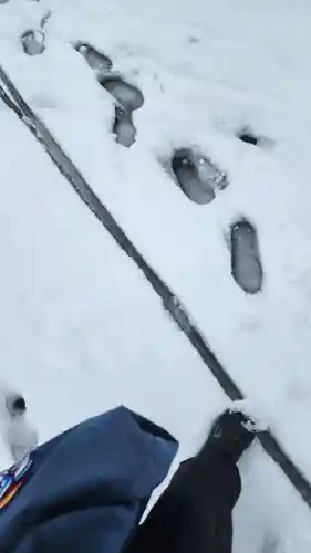 神炊館神社 ⁂奥州須賀川総鎮守⁂(福島県)