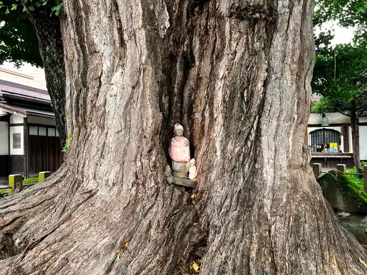 飛騨国分寺(岐阜県)
