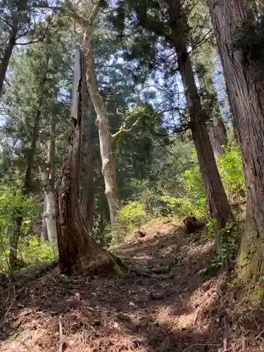 松苧神社(新潟県)
