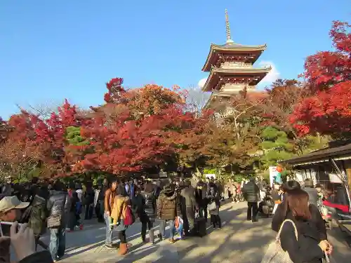 清水寺の自然