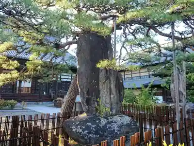 西方寺のその他建物