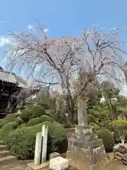 青柳寺(神奈川県)