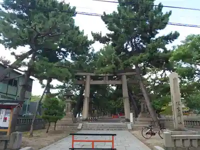 住吉大社(大阪府)