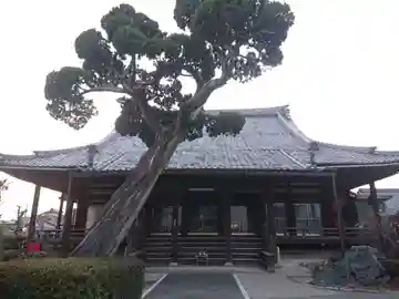 荘厳寺の本殿・本堂