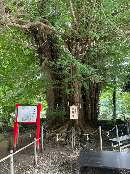宝珠山 立石寺(山形県)