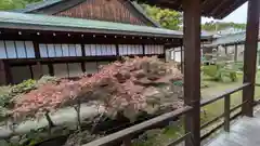 正法寺(京都府)