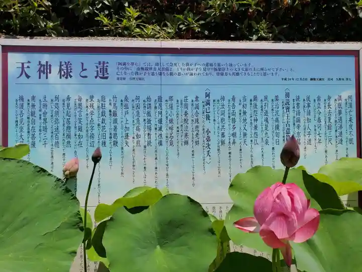 綱敷天満宮のその他建物