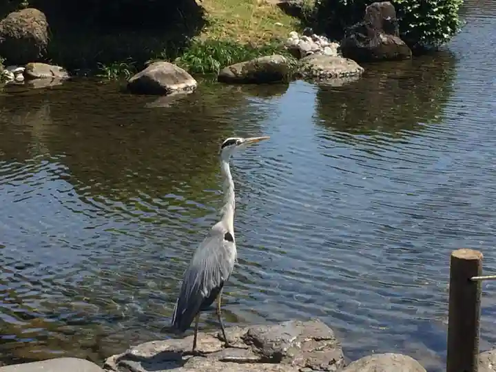出水神社(熊本県)