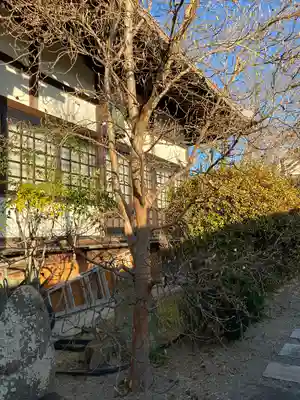 薬常寺の本殿・本堂