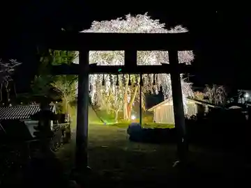 八幡宮社(京都府)