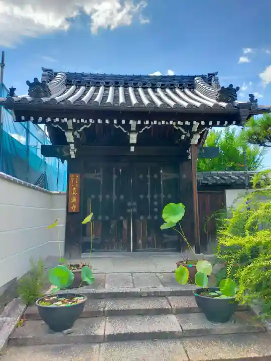 真蓮寺(大阪府)