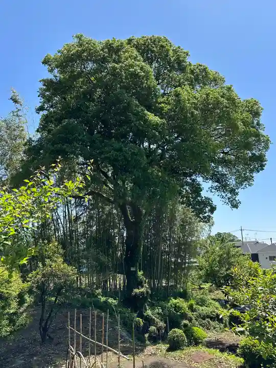 八坂神社(神奈川県)
