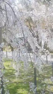 足羽神社(福井県)