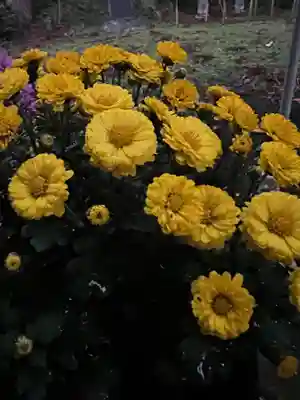 大宮温泉神社(栃木県)