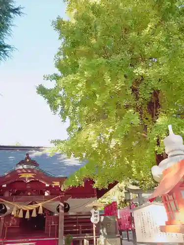 草加神社(埼玉県)