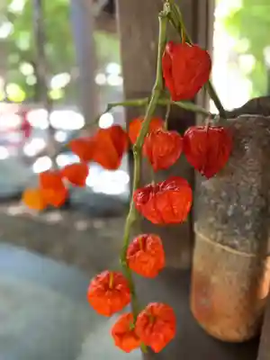 琴似神社(北海道)
