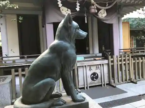 宮益御嶽神社の狛犬