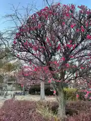 大生郷天満宮の自然