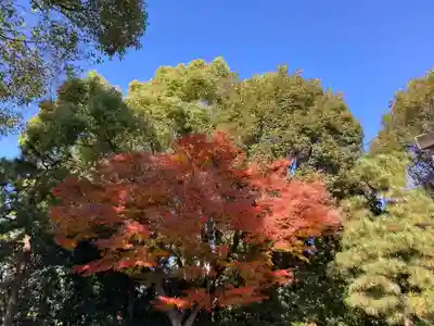 城南宮(京都府)