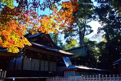鹿島神宮(茨城県)