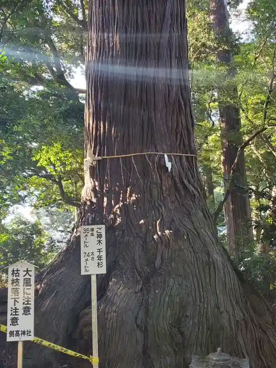 側高神社の自然