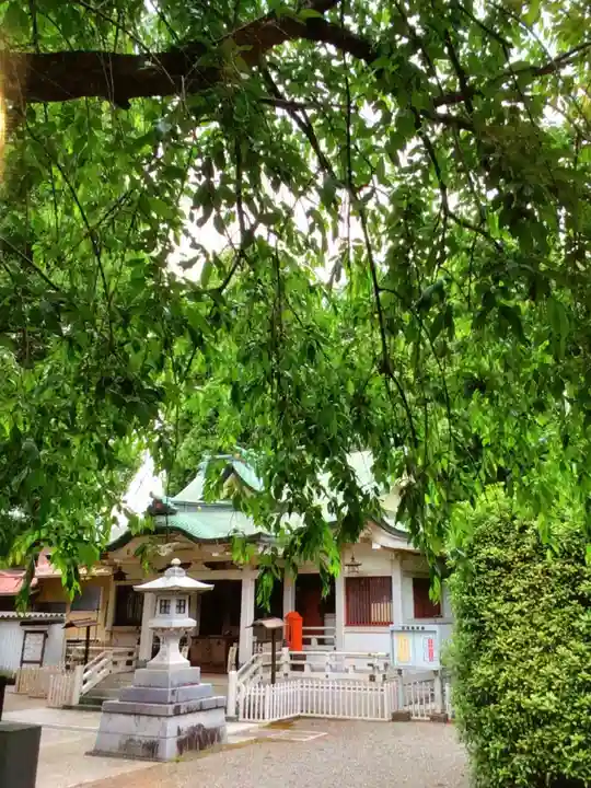 荻窪白山神社(東京都)