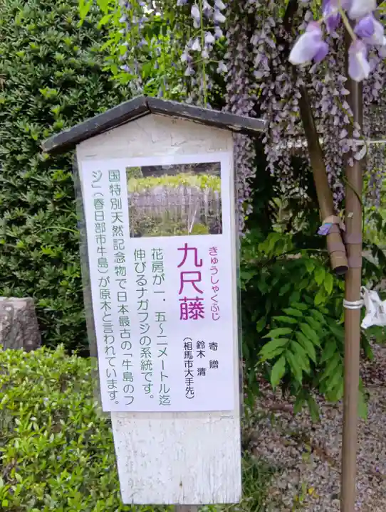 涼ケ岡八幡神社(福島県)