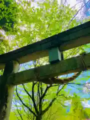 伊保田神社(茨城県)