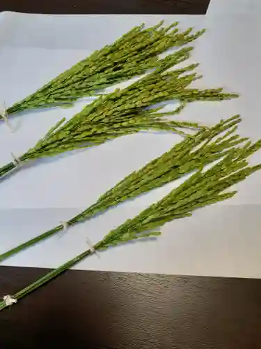 伏木香取神社のその他建物