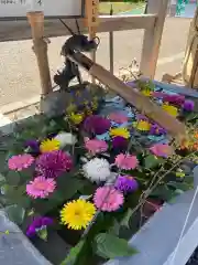 樽前山神社の手水