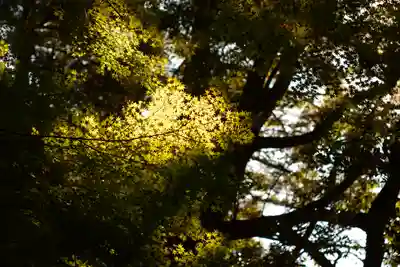 白山比咩神社(石川県)