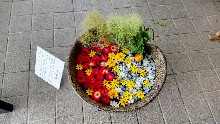 美瑛神社の手水舎