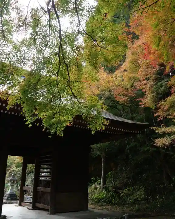 普門寺(切り絵御朱印発祥の寺)(愛知県)