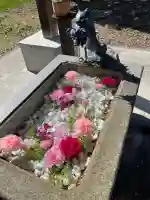 鹿追神社の手水舎