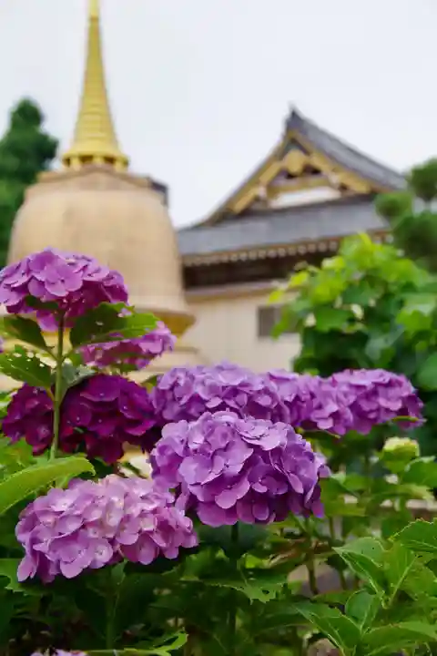 福王山 慈眼寺の自然