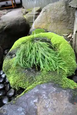 駒木諏訪神社(千葉県)