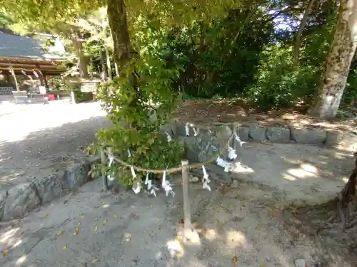 矢田坐久志玉比古神社(奈良県)