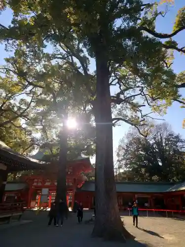 武蔵一宮氷川神社の{uncategorized: "未分類", other: "その他", undefined: "問題あり", building: "その他建物", grave: "お墓", sacred_gate: "鳥居", guardian: "狛犬", statue: "像", buddha: "仏像", history: "歴史", nature: "自然", garden: "庭園", animal: "動物", pagoda: "塔", temizu: "手水舎", mountain_gate: "山門・神門", sanctuary: "本殿・本堂", subordinate: "末社・摂社", art: "芸術", scenery: "景色", jizo: "地蔵", ema: "絵馬", goshuin: "御朱印", omikuji: "おみくじ", items: "授与品その他", amulet: "お守り", goshuincho: "御朱印帳", eats: "食事", festival: "お祭り", votive_dance: "神楽", shichigosan: "七五三参", wedding: "結婚式", experience: "体験その他", initially: "初詣", around: "周辺", anti_infection: "感染症対策"}