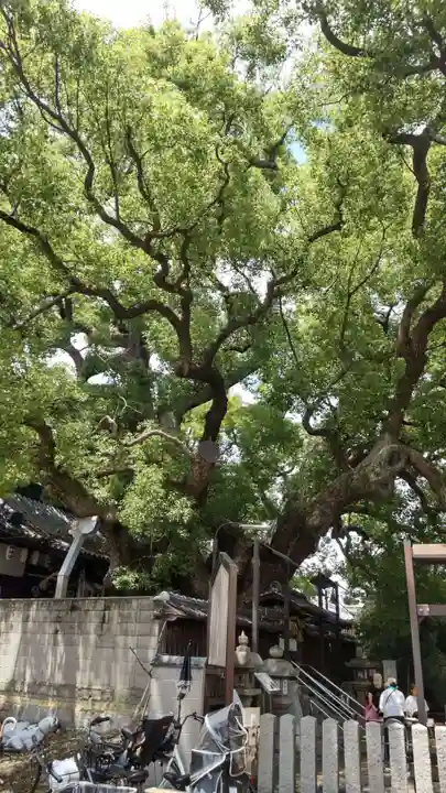 三島神社(大阪府)