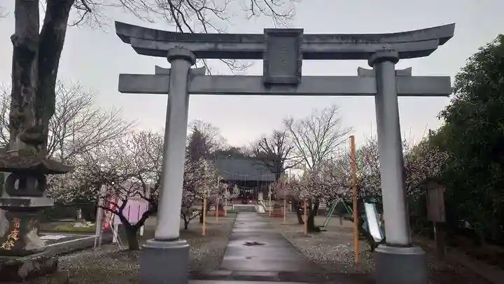 上里菅原神社(埼玉県)