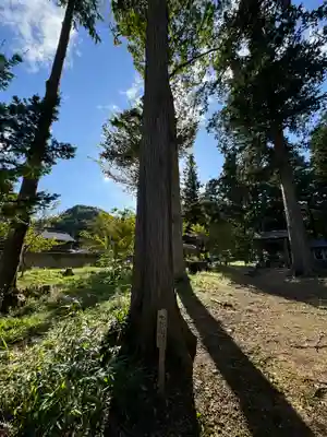 諏訪神社(長野県)