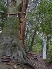 白山比咩神社(石川県)