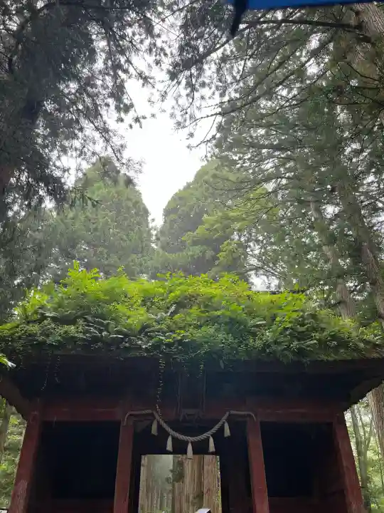 戸隠神社奥社の{uncategorized: "未分類", other: "その他", undefined: "問題あり", building: "その他建物", grave: "お墓", sacred_gate: "鳥居", guardian: "狛犬", statue: "像", buddha: "仏像", history: "歴史", nature: "自然", garden: "庭園", animal: "動物", pagoda: "塔", temizu: "手水舎", mountain_gate: "山門・神門", sanctuary: "本殿・本堂", subordinate: "末社・摂社", art: "芸術", scenery: "景色", jizo: "地蔵", ema: "絵馬", goshuin: "御朱印", omikuji: "おみくじ", items: "授与品その他", amulet: "お守り", goshuincho: "御朱印帳", eats: "食事", festival: "お祭り", votive_dance: "神楽", shichigosan: "七五三参", wedding: "結婚式", experience: "体験その他", initially: "初詣", around: "周辺", anti_infection: "感染症対策"}
