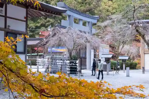 小國神社(静岡県)