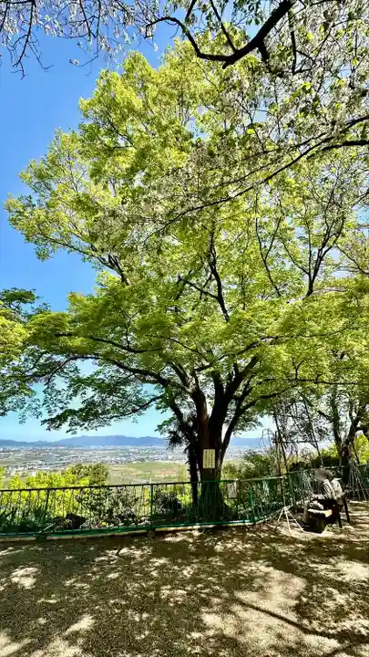 石清水八幡宮(京都府)