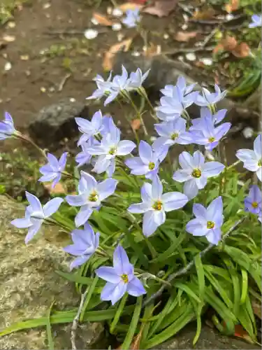 潮田神社(神奈川県)