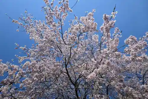 毘沙門堂門跡(京都府)