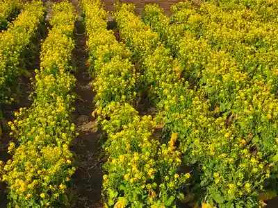 青木大師の周辺